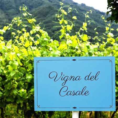 Agriturismo Guerritore Baronissi Ngoại thất bức ảnh