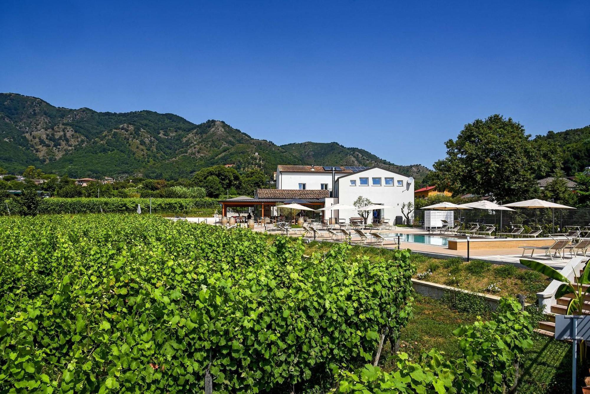 Agriturismo Guerritore Baronissi Ngoại thất bức ảnh