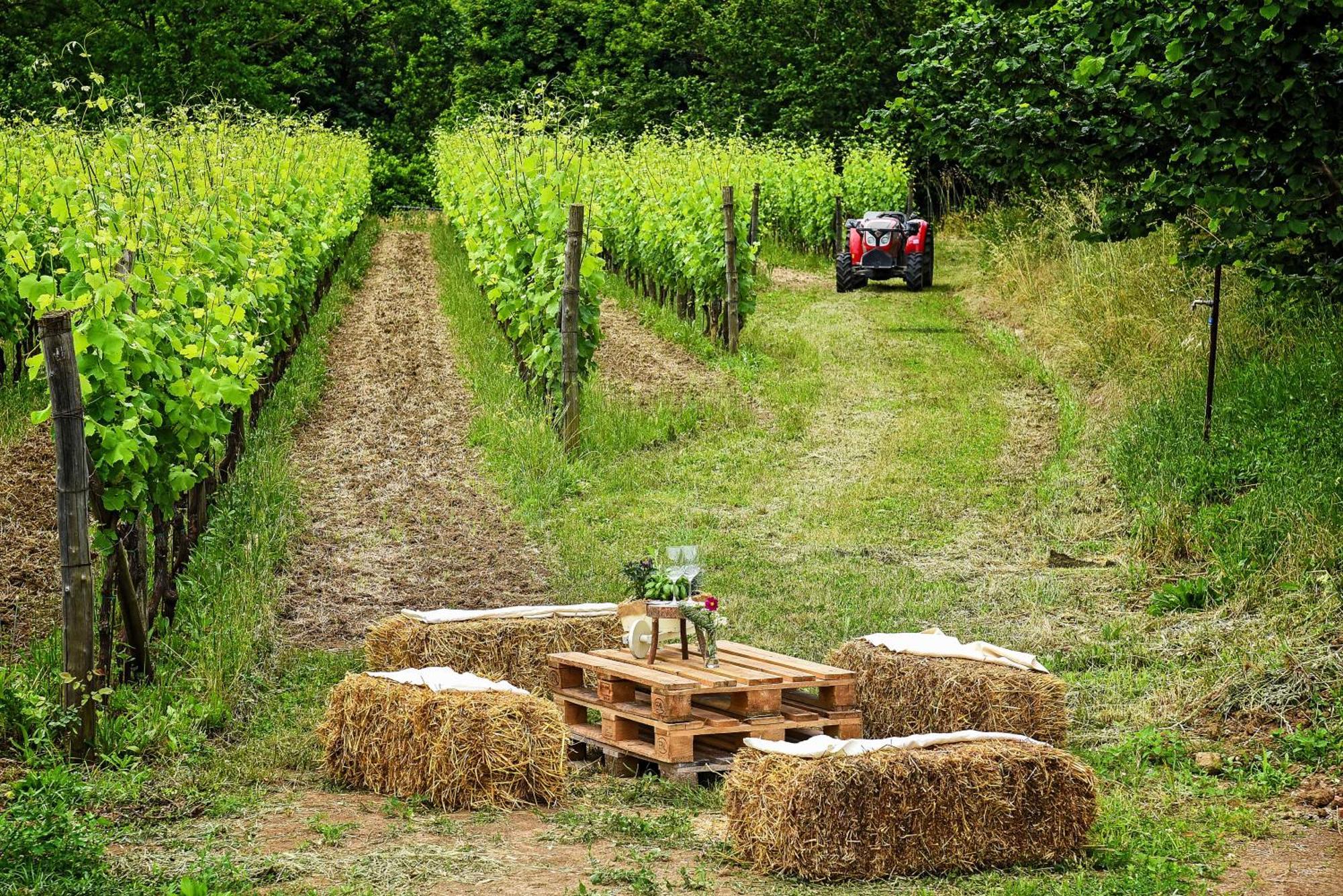 Agriturismo Guerritore Baronissi Ngoại thất bức ảnh