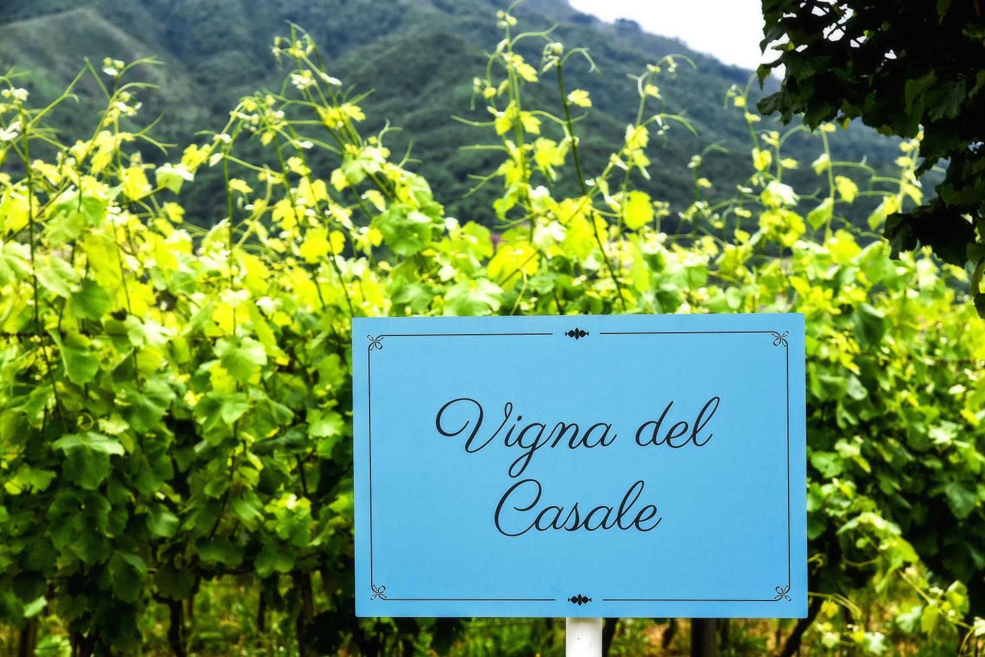 Agriturismo Guerritore Baronissi Ngoại thất bức ảnh